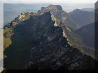 Chartreuse-Malissard-01.jpg