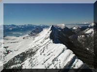 Chartreuse-Malissard-07.JPG