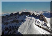 Chartreuse-Malissard-09.JPG